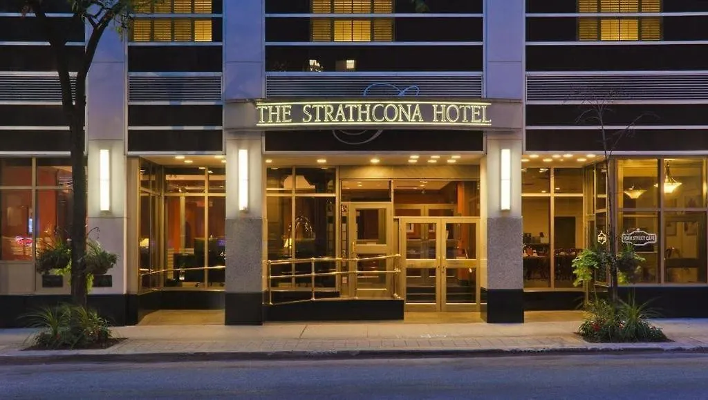 Staying Near High Park: 15 Airport Hotels in Toronto Compared